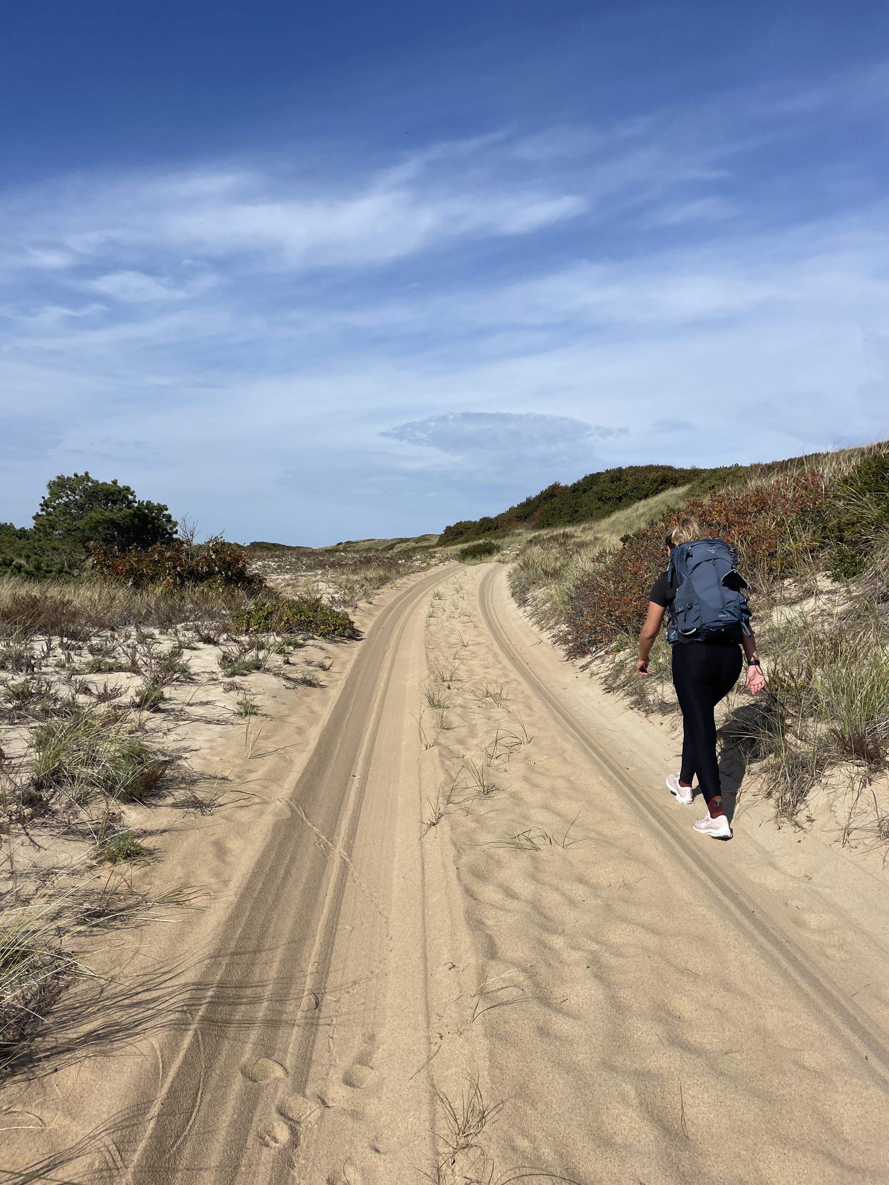The Dune Trail